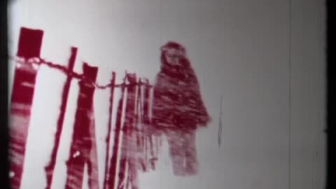 Diarios patagónicos, 1 (Narcisa Hirsch, 1973)