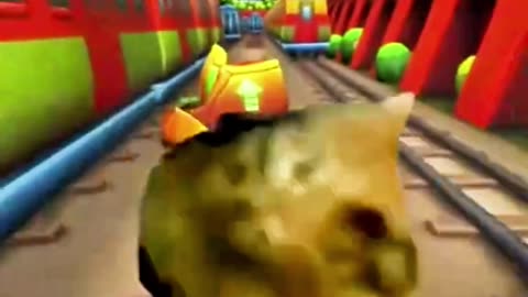 Oia cat Subway suffer