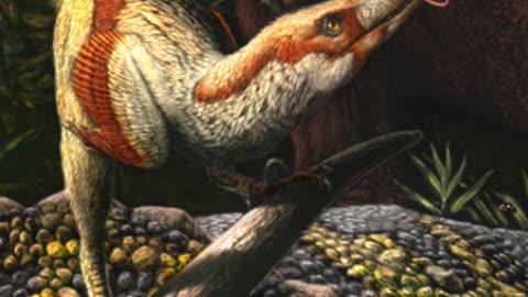 Acheroraptor: The Last Raptor of Hell Creek