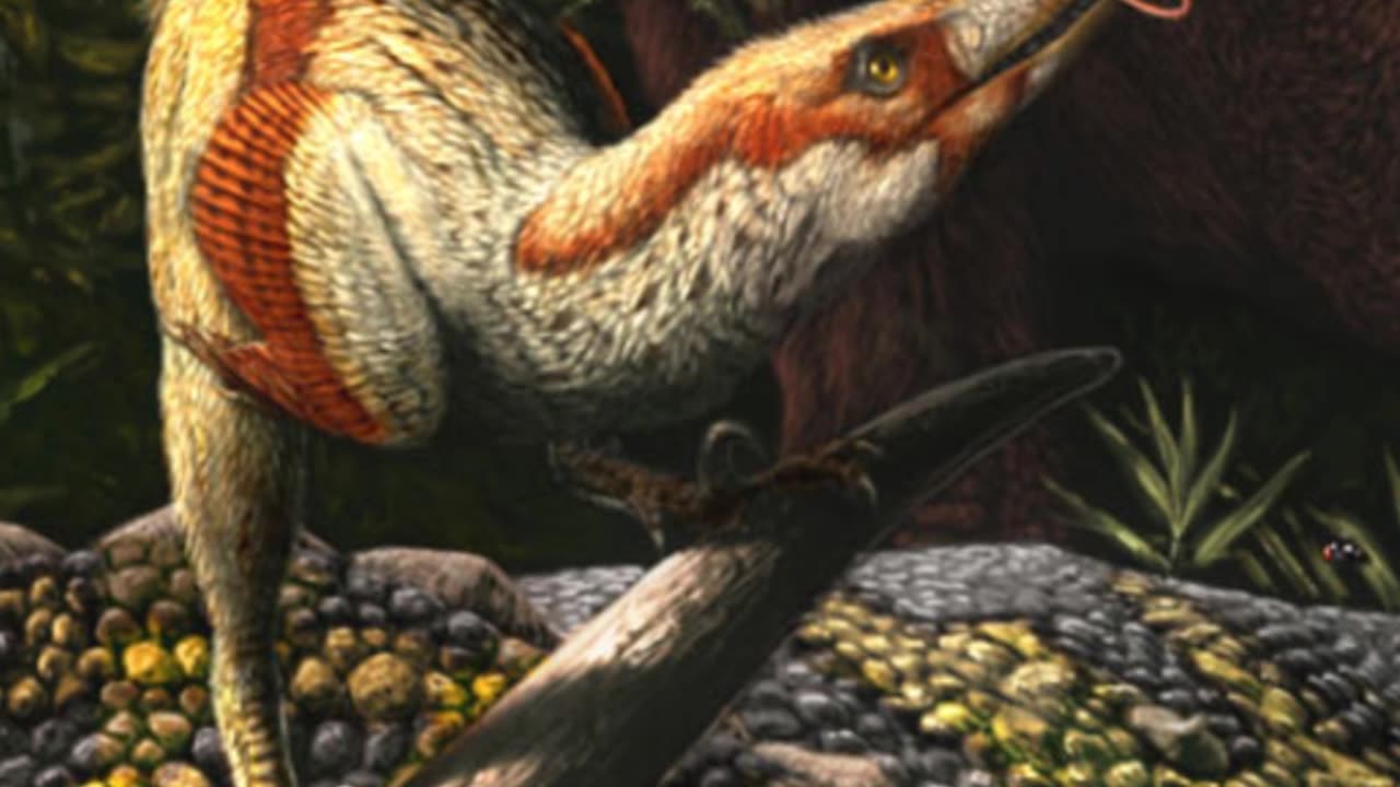 Acheroraptor: The Last Raptor of Hell Creek
