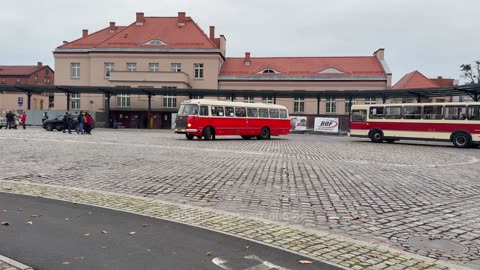 Zabytkowe autobusy MZK Toruń