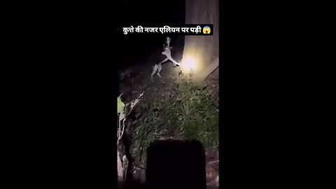 Ghost 👻 prank behind of trees 🌴