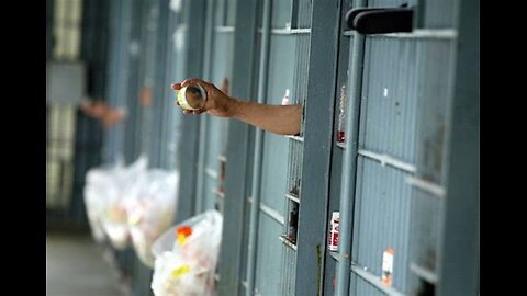 ZDT THEATER - LIFE IS HARD WHEN YOU'RE DUMB