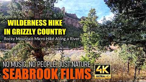 Wilderness Hike in Grizzly Country: Rocky Mountain Micro Hike Along a River