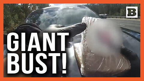 GIANT Bust! Florida Traffic Stop Reveals Over 12 Pounds of Cocaine in Trunk