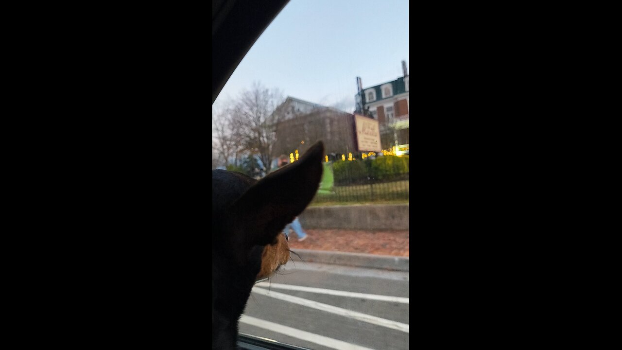 the martha Washington inn