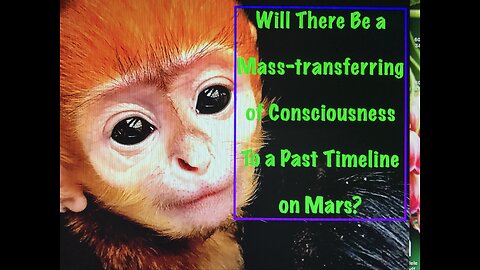 Consciousness Transfer To Mars?