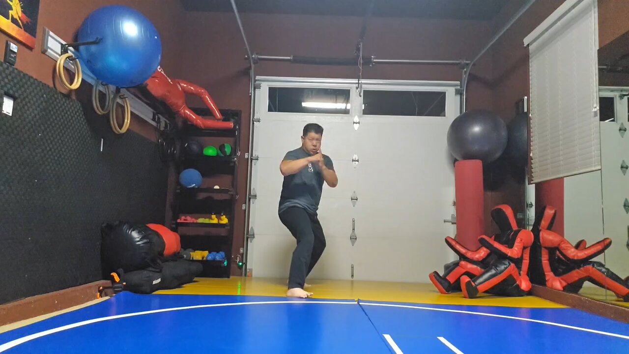 WTD 2 Step Kick Combination 182