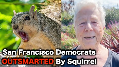 Angry Squirrel TERRORIZES San Francisco