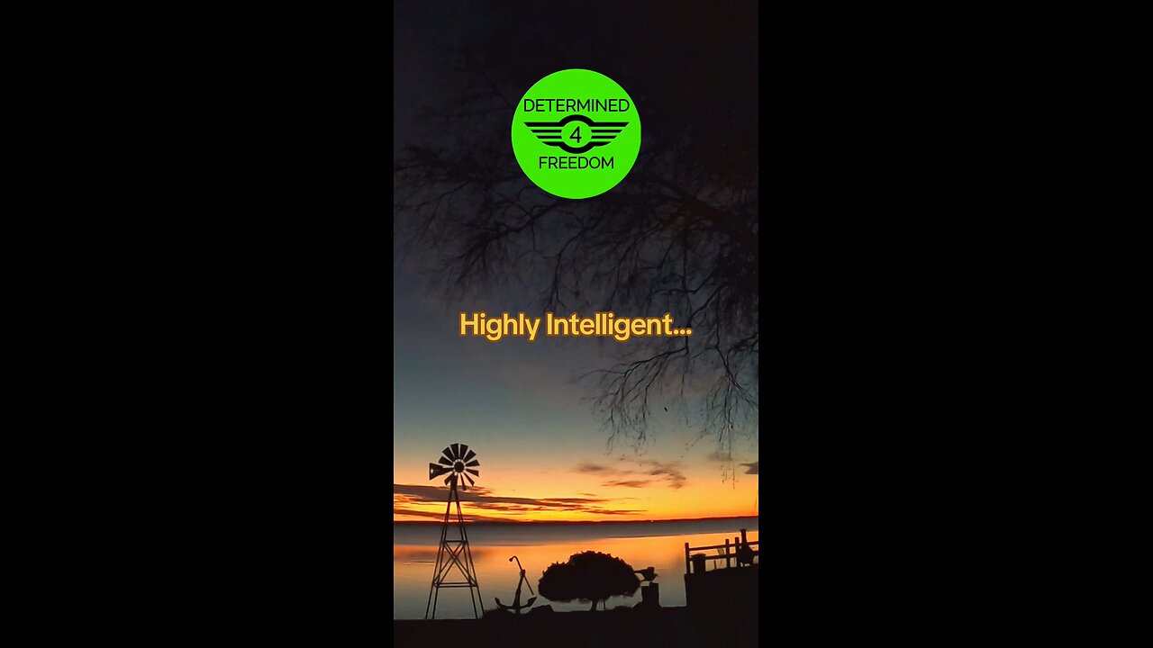 Highly Intelligent...