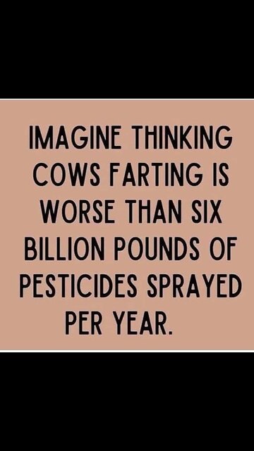 No lies detected (most of the "trauma" is self-inflicted) 😲🤔