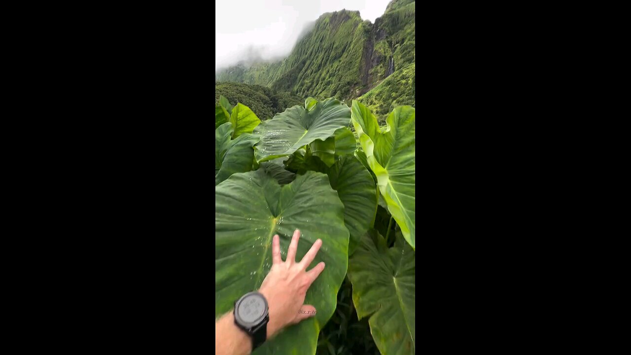 beautiful places in the world 🌎