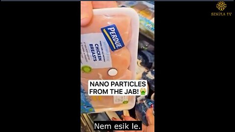 Mágneses hús