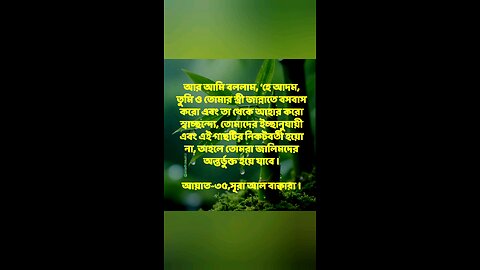 Al Quran Surah Bakara-35