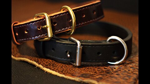 Leather Dog Collar Overview #Elkriverfishingandoutdoors