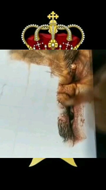 Como Dibujar Realismo ✍️