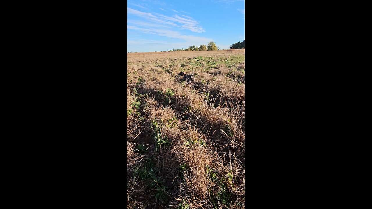 Donna working on Steadiness