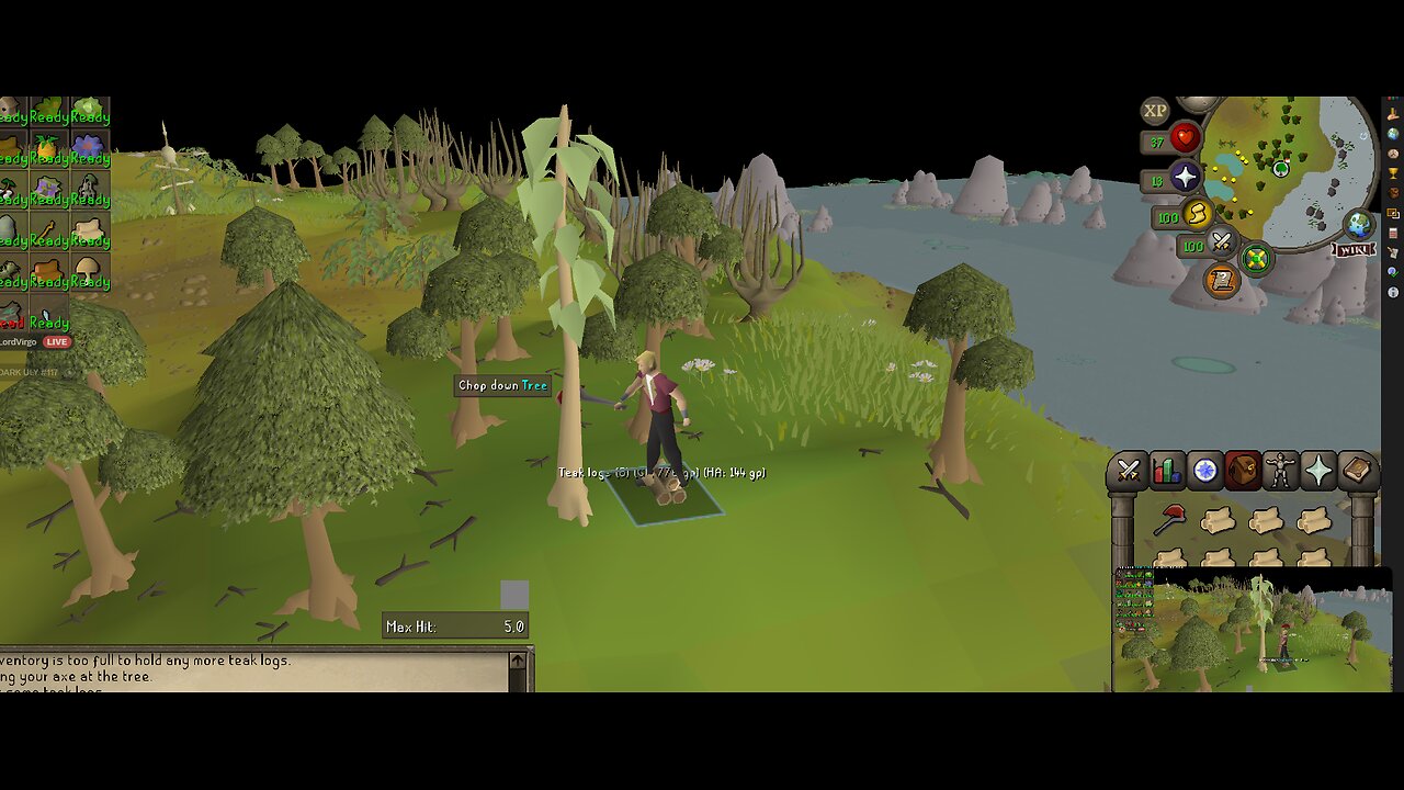 Runescape