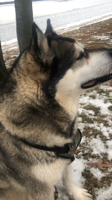 Monday December 22, Elizabeth gave a glad cry