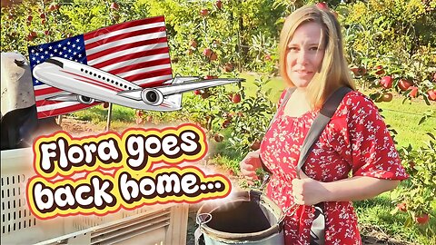 My Wife Left Me for Apple Pies (And It's Not What You Think)