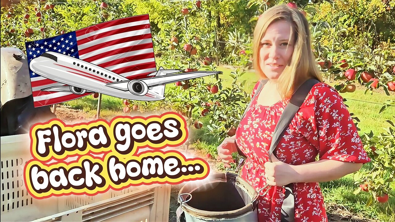 My Wife Left Me for Apple Pies (And It's Not What You Think)