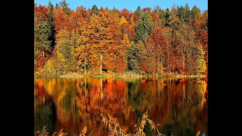 PUMPKIN FOLLY FRIDAY - OCT 31, 2025 - SAYING GOOD-BYE TO OCTOBER !