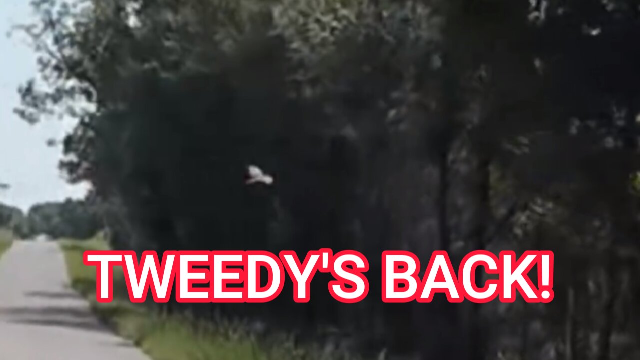 WOULD YOU LOOK AT THAT!