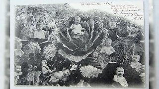 WE WILL PROBABLY BE RESET AGAIN SOON