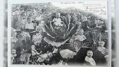 WE WILL PROBABLY BE RESET AGAIN SOON