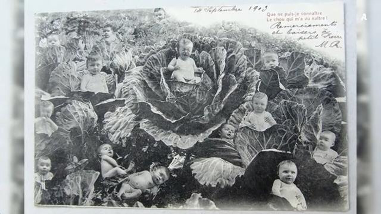 WE WILL PROBABLY BE RESET AGAIN SOON