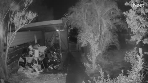 🧚✨ Real Fairy Caught on Camera? Watch Closely! | TheHauntingHour