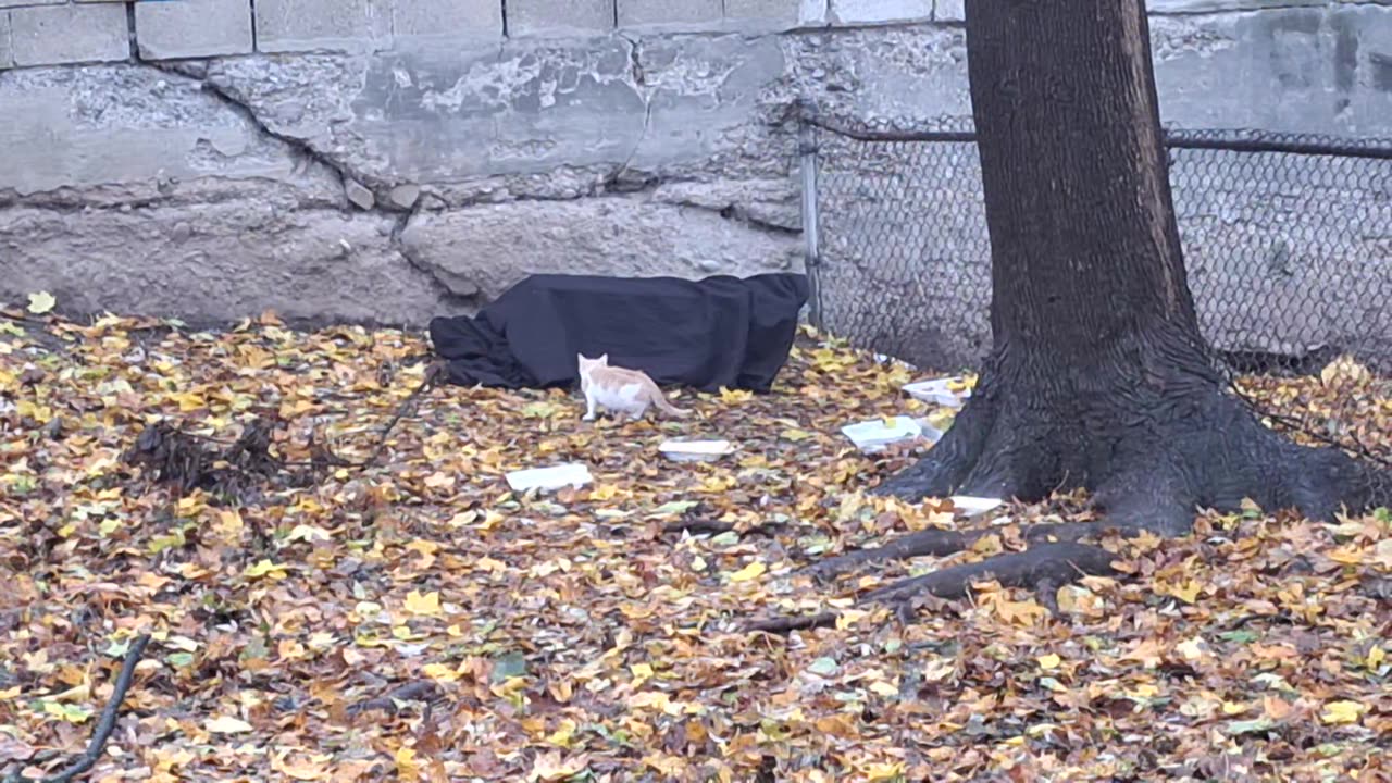 The trap was set but he didn't fall for it