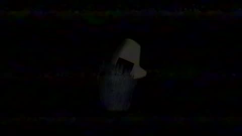 Poppy Playtime - VHS - Leith Pierre (Entrance):