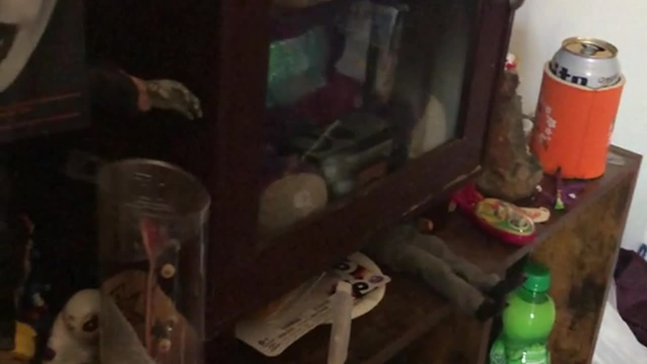 😨👹 I Have Haunted Teletubbies Doll… | TheHauntingHour