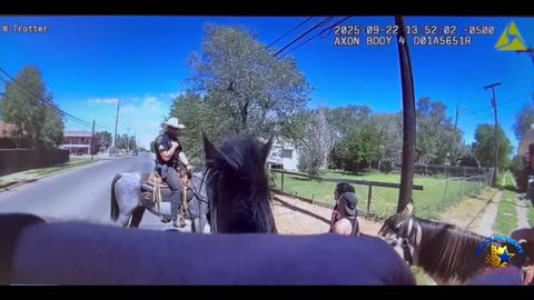 Narcotics Smelling Horse...😂