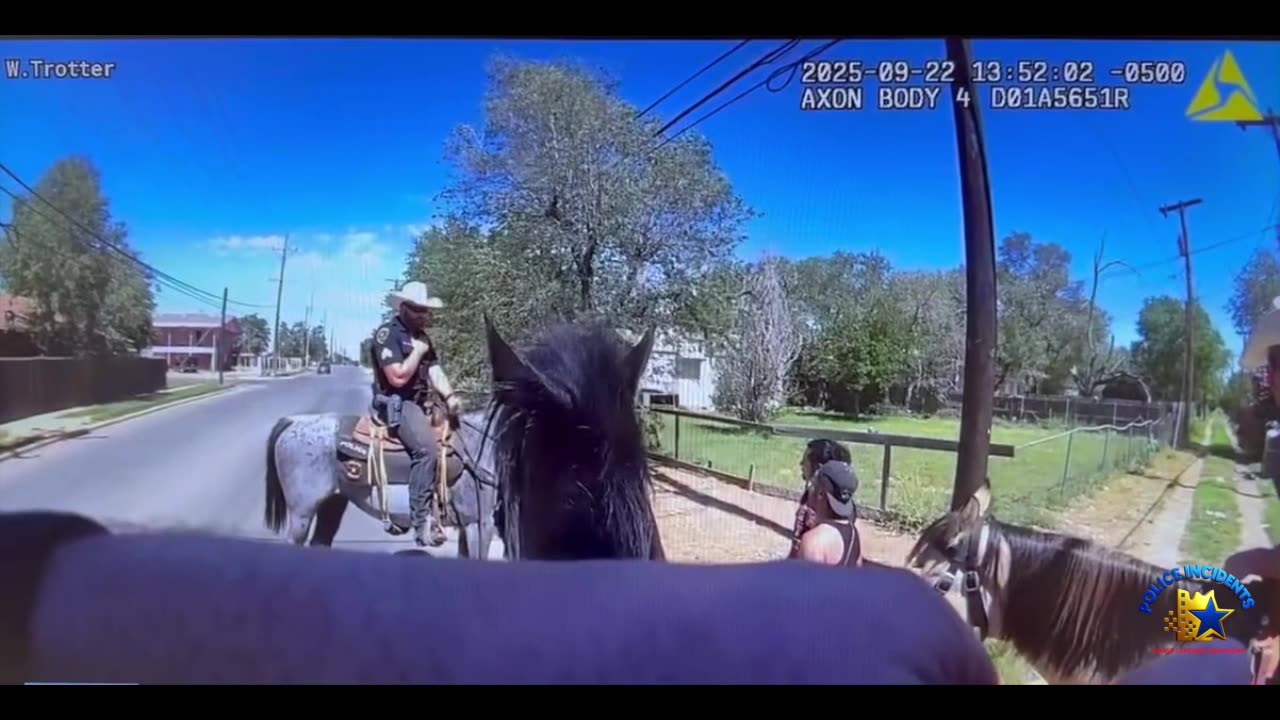 Narcotics Smelling Horse...😂