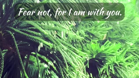 Do Not Fear, For I am with You