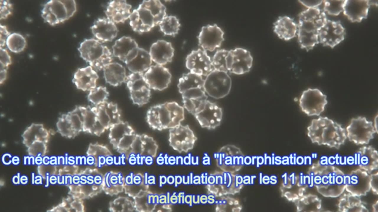 Thérapie Vibratoire Quantique : Témoignage