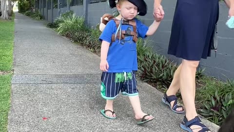 🏙️ CITY MOM LIFE: Safety Harnesses and Sibling Shenanigans! (French Bulldog Routine) 🐾