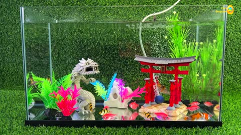 Colorful surprise eggs, crayfish, koi fish, angelfish, betta fish, goldfish, glofish tetra