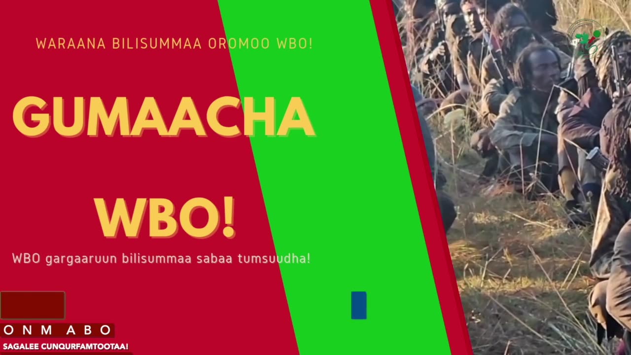 Gabaasa Gumaacha ONM-ABO Fulbaana 30-2025 itti dhiyaadhaa!