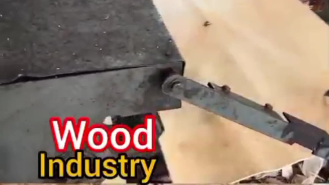 Modern Wood Technology