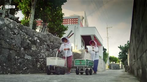 ‎The Extraordinary Women Hunting Venomous Sea Snakes | 4K UHD | Wild Japan | BBC Earth