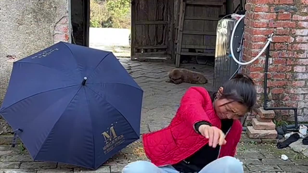 Funny😂 | Funny video + Funny live streem