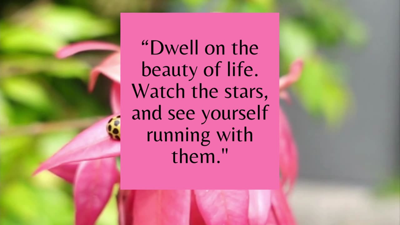 Wise words from Marcus Aurelius to Ponder