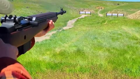 Springfield M1A Rifle