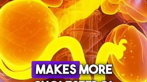 Why Your Body NEEDS Cholesterol: The Toxin-Fighting Truth Big Pharma Won't Tell You