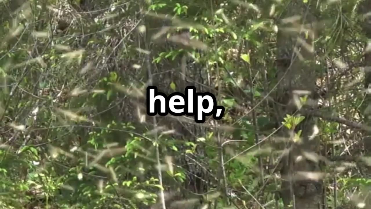 Meet the Insects That Save Your Plants!
