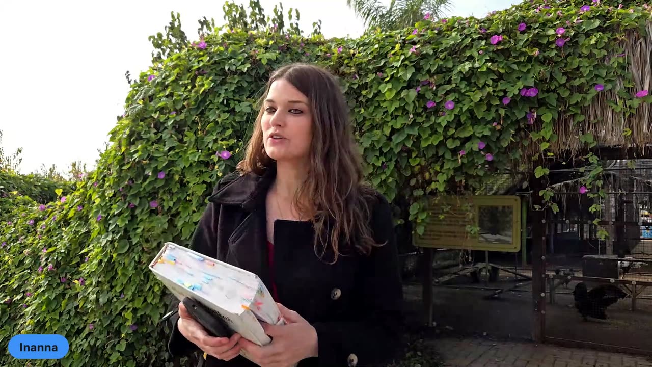 Miriam and the Boy Who Captured Lizards