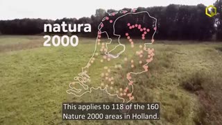 Documentaire - Blckbx - Nitrogen2000 het Nederlandse stikstofbeleid vanuit internationaal perspectief